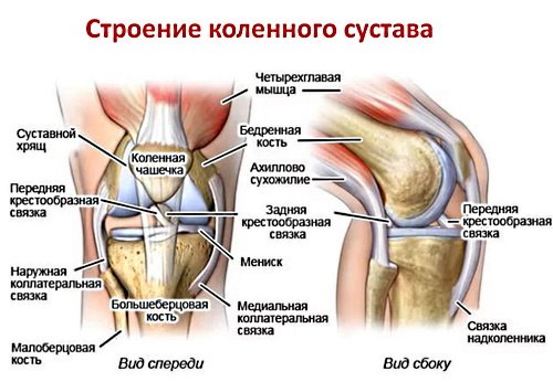 Хруст в коленях - причины появления, профилактика и лечение